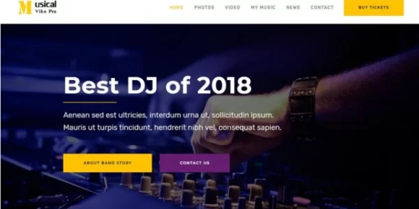 MUSICAL VIBE PRO 2.2.2 GPL Theme