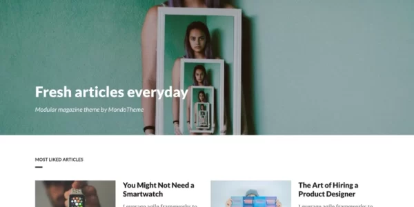 Magsy Modular Magazine Blog Theme 1.3 GPL Theme