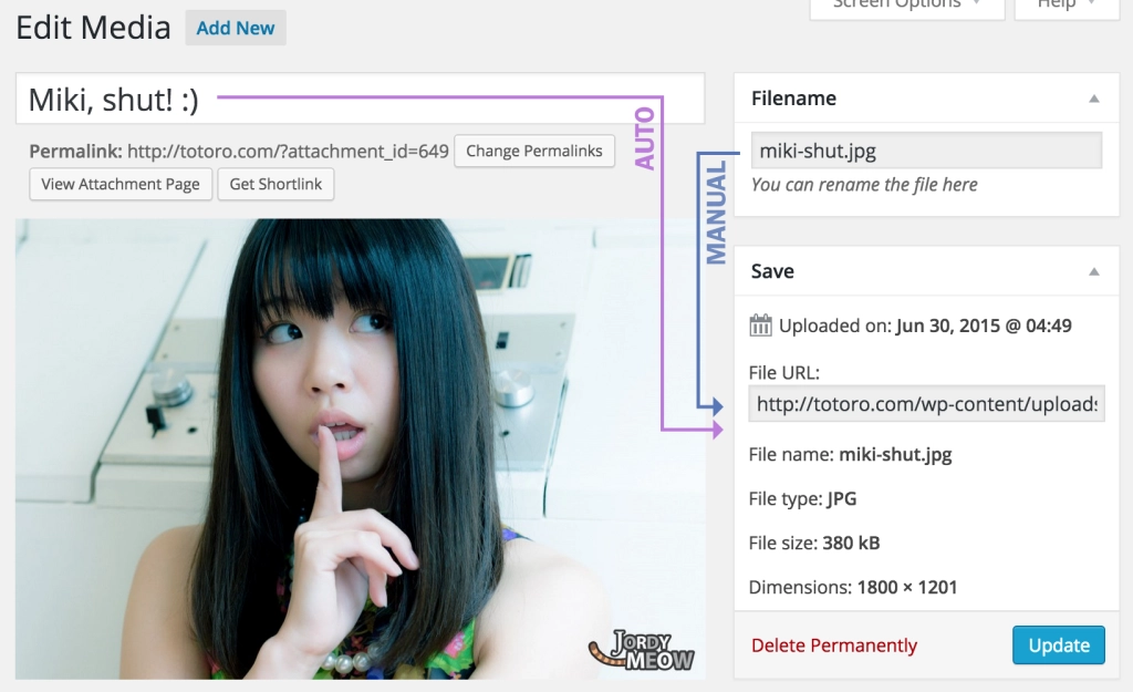 Media File Renamer Pro 5.9.7 GPL Plugins