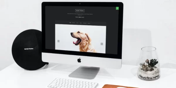 Nord Minimal and Clean WordPress Blog Theme 1.4.3 GPL Theme