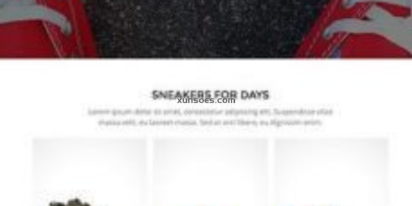 OboxThemes Lace and Sole WooCommerce Themes 1.0 GPL Theme