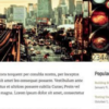 OboxThemes Personal WordPress Theme 1.2.6 GPL Theme