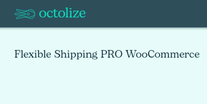 Octolize – Flexible Shipping PRO WooCommerce 2.18.4 GPL Plugins