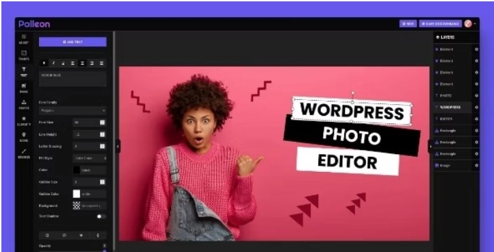 Palleon WordPress Image Editor 3.8.5 GPL Plugins