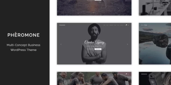 Pheromone Creative Multi-Concept WordPress Theme 1.3.2 GPL Theme