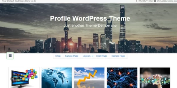 Profile Pro WordPress theme provided by InsertCart 2.6 GPL Theme