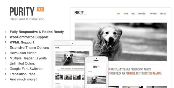 Purity: Responsive, Minimal Bold WP Theme 4.5.1 GPL Theme