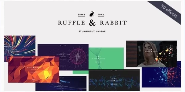 Rabbit Exclusive Coming Soon WordPress Theme 4.0.3 GPL Theme