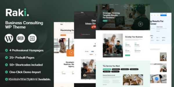 Raki Business, Finance Consulting WordPress Theme 1.0.1 GPL Theme