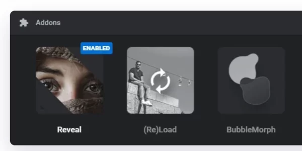 Revslider Reveal AddOn 6.7.3 GPL Plugins