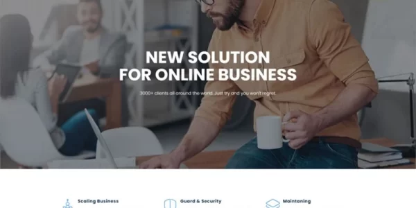 Roche Business Consulting WordPress Theme 1.1.1 GPL Theme