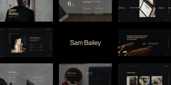 Sam Bailey Personal CV/Resume WordPress Theme 1.0.0 GPL Theme