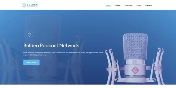 SecondLine – Bolden WordPress Theme 1.5.2 GPL Theme