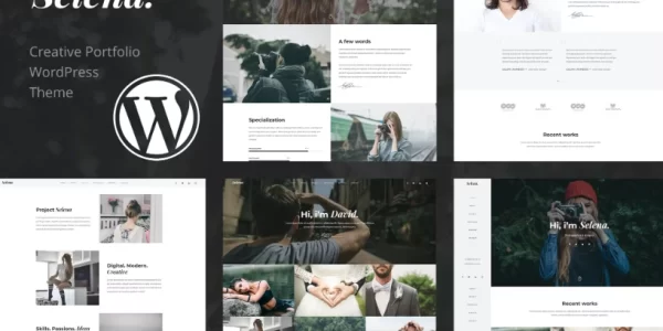 Selena. Portfolio WordPress Theme 1.0.3 GPL Theme