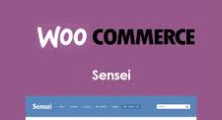 Sensei LMS Media Attachments 2.0.3 GPL Plugins
