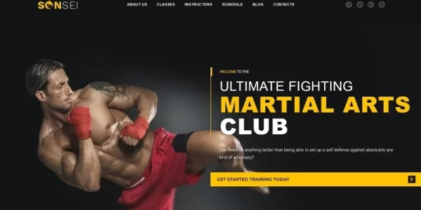 Sensei Martial Arts WordPress Theme 1.0.0 GPL Theme