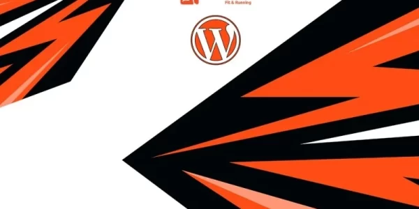 Speedo Racing And Olympics WordPress Theme 1.0.0 GPL Theme