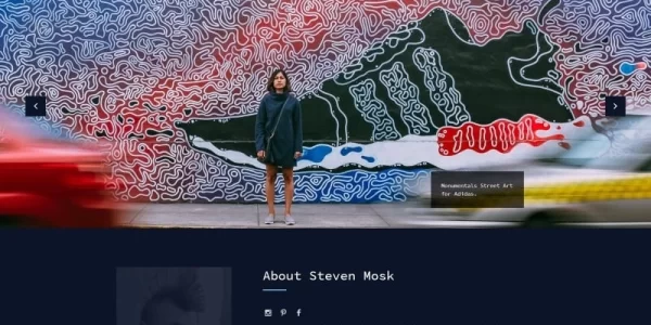 Steven Mosk Modern artist personal portfolio WordPress Theme 1.0.0 GPL Theme