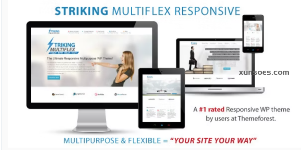 Striking MultiFlex Ecommerce Responsive WP Theme 2.3.8 GPL Theme