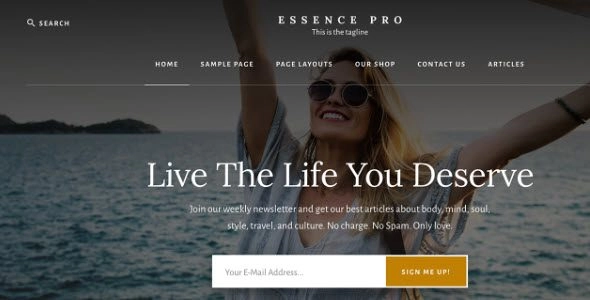 StudioPress Essence Pro Theme 1.5.2 GPL Theme
