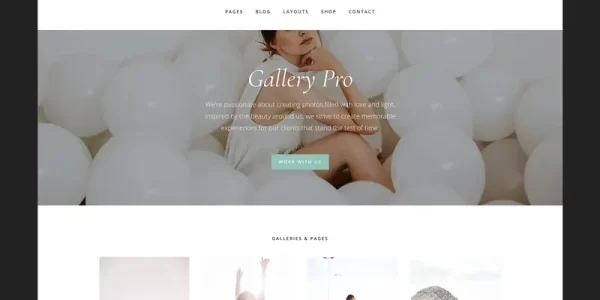 StudioPress Gallery Pro Theme 1.2.0 GPL Theme