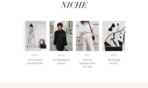 StudioPress Niche Pro Genesis WordPress Theme 1.0.0 GPL Theme