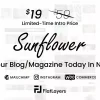 Sunflower Modern, Lightweight Multipurpose WordPress Blog Theme 1.2 GPL Theme