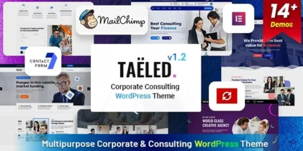 TAELED Business Consulting 1.2 GPL Theme