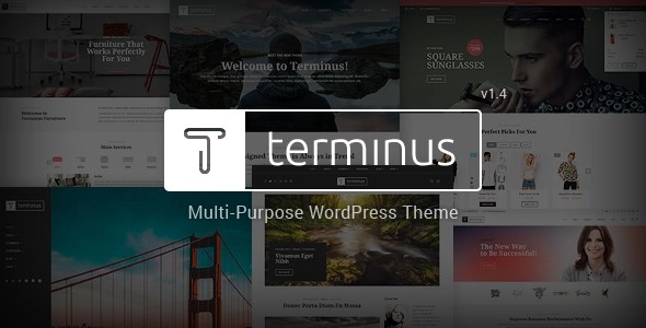 Terminus Responsive Multi-Purpose WordPress Theme 1.4.4 GPL Theme