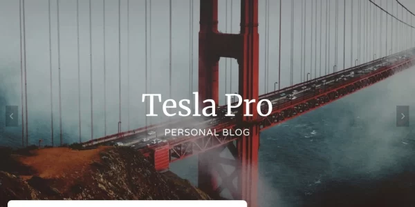 Tesla Pro 1.0.3 GPL Theme