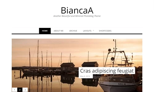 Theme Junkie – BiancaA 1.0.6 GPL Theme
