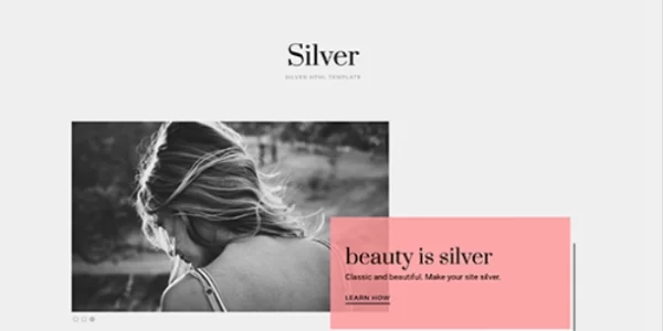 Theme Junkie – Silver 1.0.2 GPL Theme