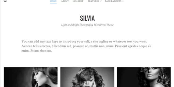 Theme Junkie – Silvia 1.0.9 GPL Theme