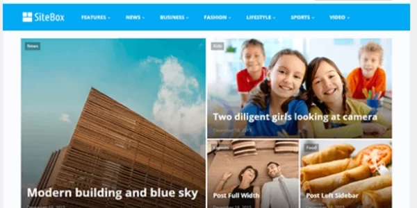 Theme Junkie – SiteBox 1.3.0 GPL Theme