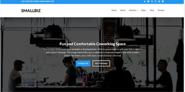Theme Junkie – Smallbiz 1.0.2 GPL Theme