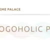 Theme Palace Blogoholic Pro 1.0.2 GPL Theme