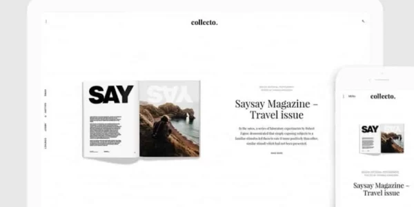 Themes Kingdom Collecto WordPress Theme 1.1.3 GPL Theme