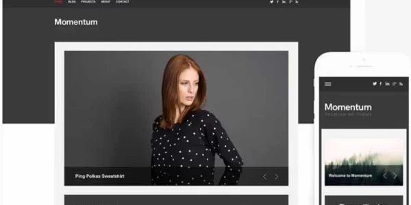 Themes Kingdom Momentum WordPress Theme 2.3.1 GPL Theme