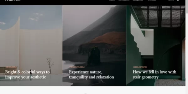 Themes Kingdom Reinform WordPress Theme 1.1.2 GPL Theme