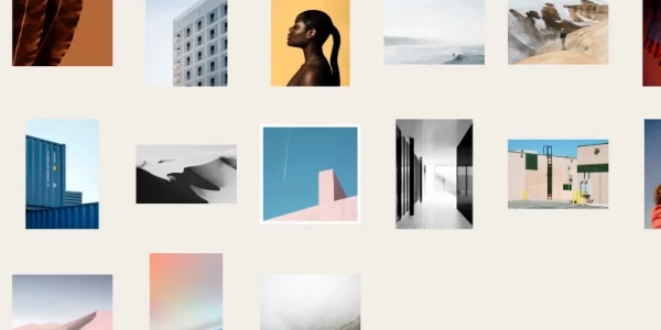 Themes Kingdom Section WordPress Theme 1.2.4 GPL Theme