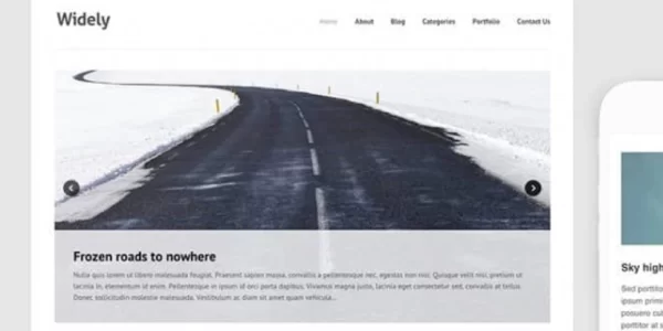 Themes Kingdom Widely WordPress Theme 2.3.1 GPL Theme
