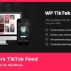 TikTok Feed PRO 4.1.6 GPL Plugins