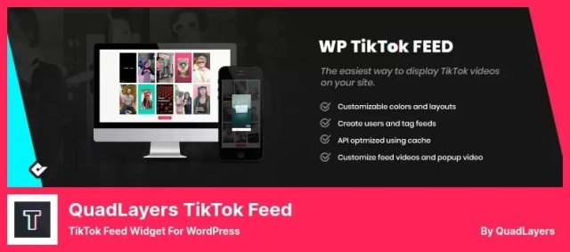 TikTok Feed PRO 4.1.6 GPL Plugins