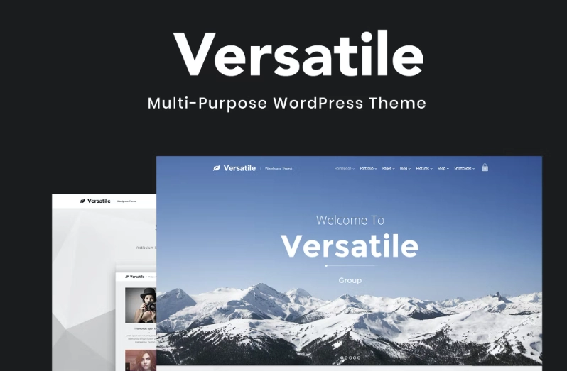 Versatile Multi-purpose WordPress Theme 1.4.6 GPL Theme