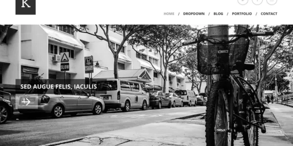 Viva Themes Kimbo WordPress Theme 4.2 GPL Theme