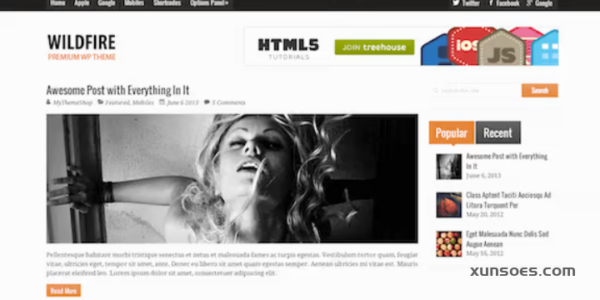 WILDFIRE CLEAN RESPONSIVE WORDPRESS THEME 1.1.1 GPL Theme