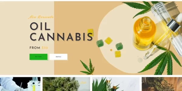 WeedMarket Dokan Multivendor Marketplace WordPress Theme 1.0.0 GPL Theme