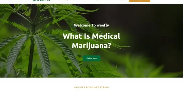 Weefly | Medical Cannabis Marijuana WordPress Theme 1.9.7 GPL Theme