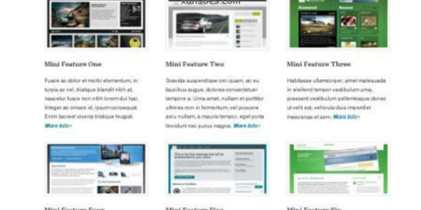WooThemes Feature Pitch Premium Theme 1.5.0 GPL Theme