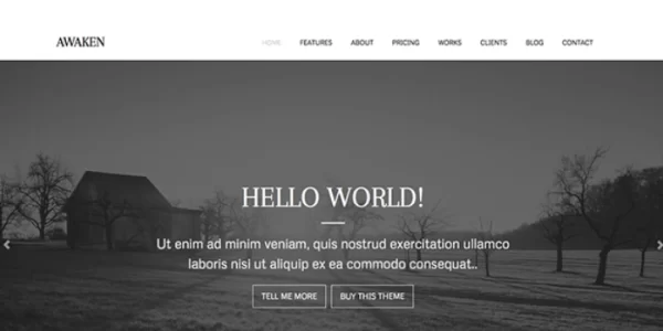 ZigZagPress Awaken 1.2.6 GPL Theme